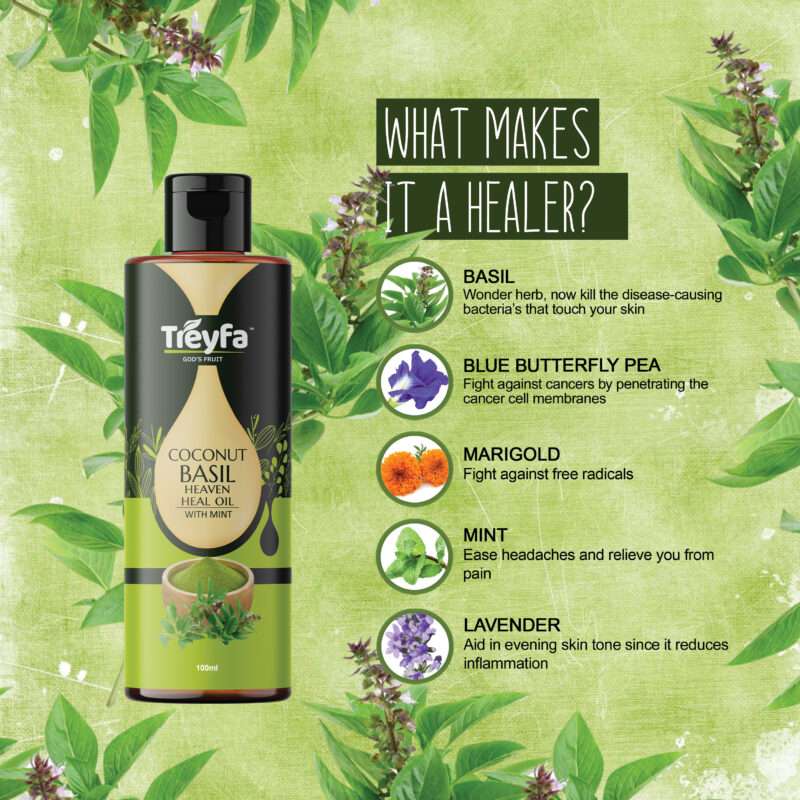 Basil Oil 30ml – Herbal Hair & Body Care (Basil Heaven Heal Oil) - Image 3