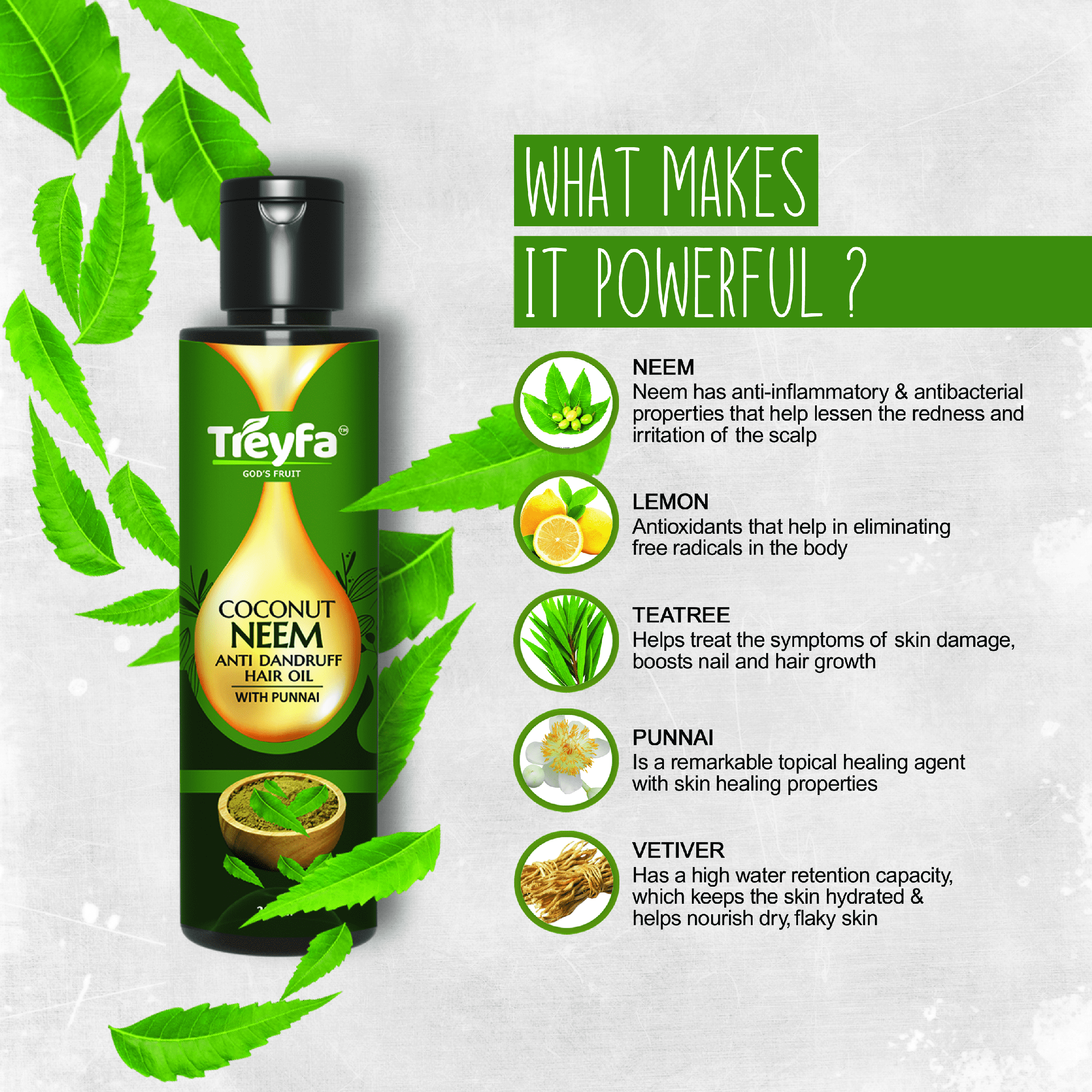 Coconut Neem Anti Dandruff Oil – Powerful Herbal Dandruff & Lice Treatment for Strong, Silky Hair | 200ML - Image 5